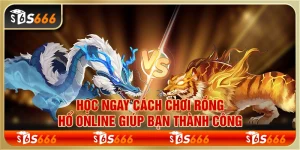 Học ngay cách chơi rồng hổ online giúp bạn thành công