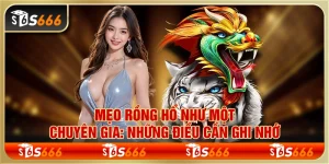 Mẹo rồng hổ như một chuyên gia: Những điều cần ghi nhớ