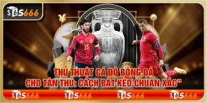 Thủ thuật cá độ bóng đá cho tân thủ: Cách bắt kèo chuẩn xác