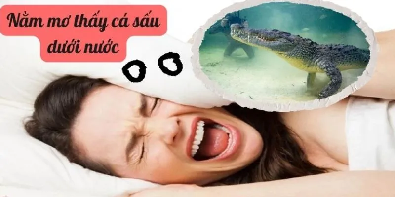 Những giấc mơ thấy cá sấu và các con số may mắn